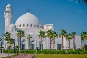 7884df52-aee9-4ada-a25e-6b6d906e24b2