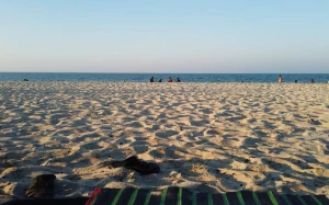 5c4b2c8b-7a9c-49ba-a490-4a97cb39e7fb