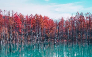 e3cfaec2-70c6-49ab-affa-87336741fb98