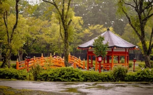 cff97786-69aa-4701-8cc2-3a4ce97211cc