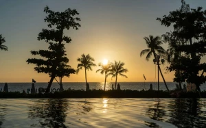 ddf948a6-a060-48c7-94a3-c41fdb08db86