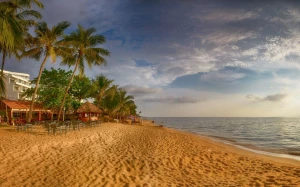 39c3c3e4-4e1d-49ce-805b-3aa98e704e9b