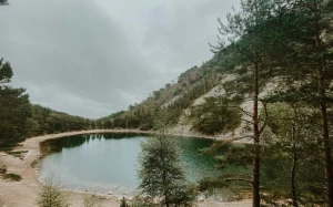 9a217ca3-7ddb-4017-939c-5cc959118920