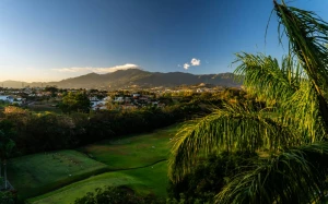 a653a0d1-d636-4290-82c7-182576a8655d