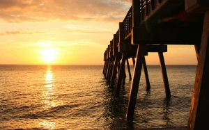 dec981dc-ab2d-4195-8ccf-ae08c743e69f