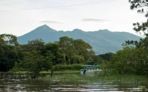 c4829336-14e5-4ba9-8c90-431f8ca21f29