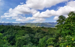 a362249c-eb7a-4ea5-95fb-69f2f42258f5