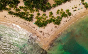 8f56e973-77a7-47ee-954d-3789d4865d9e