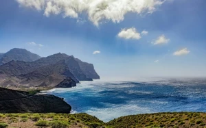 e5a95bda-46dc-451b-862c-ed1281fbf7ee