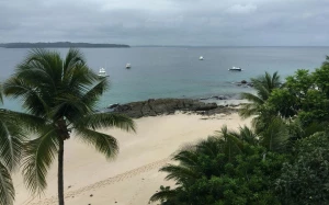 ed82417f-3203-4b74-9e2f-91f5163c6566