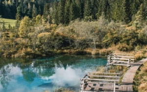 f0ffc231-8631-4c3c-98bd-7879888204a6