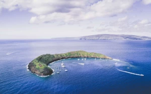 87c82546-420b-4fa1-abce-6c5af0abf3fb