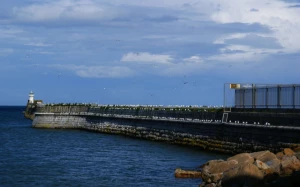 31b62211-a56d-49c2-ac48-3408a5d33c95