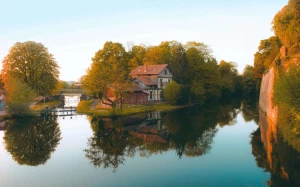 4455bbd8-263f-4301-968b-cfe2c39256a4