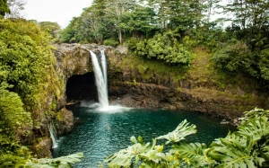 0a768524-4b5d-4399-9e32-2e1216096a9d