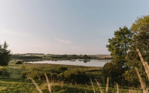 ec89b274-7d95-463f-bea2-f05b5f382e02