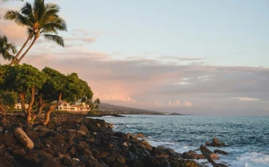 924f6991-4d36-49da-9e3d-ba4f1122f83d