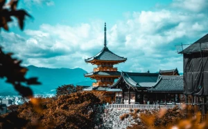 46b96ce4-73f7-4836-b5c7-b82604c7ca91