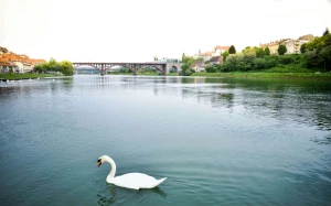 f8bb5393-7080-4ebd-976b-36ec8f30085b