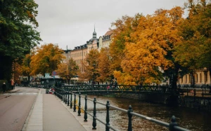 0da2d258-56d1-4b5b-9ddf-28dc805666d7