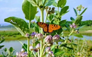 08d0bc46-baa7-444d-89f5-3eb203808973