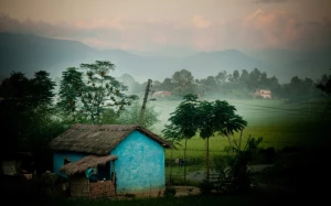 b1b6a0d2-85c3-4893-95e8-4d7838b7456e