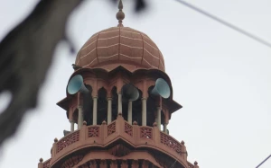 755452f2-93c7-4918-babb-62661de9a6e9