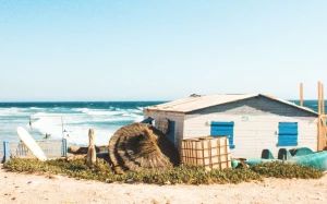 83feac9d-c516-449e-b736-29de550a9b6c