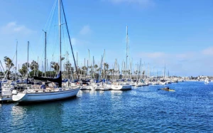 5ae8cbbb-04c2-4483-aac5-3f8be98daaf2