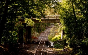 0948a692-cc69-42fc-9148-8947b2077ab1