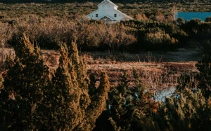 91fbf56d-072b-47da-941e-814235f9cb58