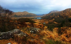 efdd0416-ac88-46a3-9c24-cde0ebf8451b