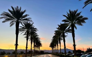 eeeea8ea-bd2a-44f3-a28c-da1c058b004b