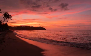 64955da1-8805-479a-a392-a674bb8deb32