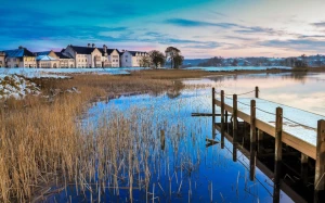 1964f03d-7789-4054-bfc9-5e3619049eca