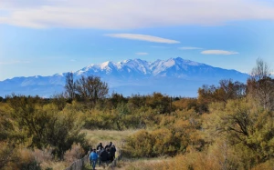 235fcd47-6118-4e19-8ea5-9cc053afee5c