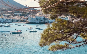 a311ca8e-d229-4490-9b06-94d378f40eb6