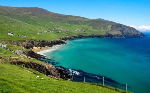 400f0121-2069-4345-9fd5-3994a7e30dd6