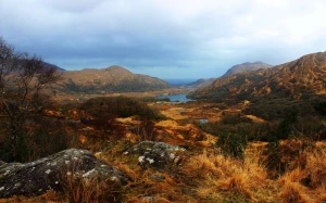 7eac994b-85e4-4d03-a350-e65d83e20b47