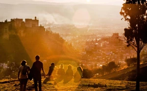 03578828-342c-4ff7-b0f6-ea46834a4d0c