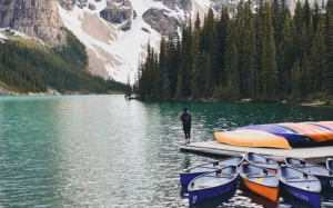 2d3858bc-821e-4bb6-b7ea-64aec70792f4