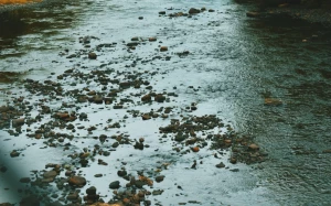 c9f6c12c-7b06-4ed1-9e1f-2e098192b9e6