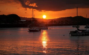 782d7e65-240d-4d75-9392-c4a4f6328ab9