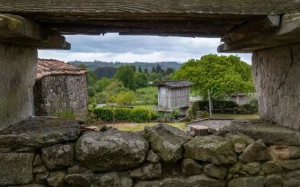 687c0591-e214-490a-b9ba-6ac19b12e43c