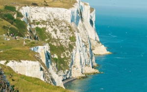 c35e5d1d-fdd7-4557-b250-816be7011577