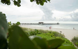 97d4b2a6-108e-4782-9e01-cd5aa376c831