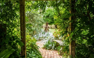 2294eff8-6578-45bf-928e-e79dfc18e66e