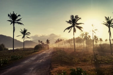 Indonesia Airport Transfer