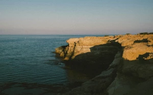 e5c852bb-fa91-4ff0-b01b-afc6a3d70b45