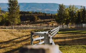 fa30f56a-817d-4b4c-91d5-da07c65339aa